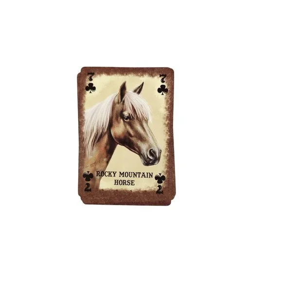 Vintage Playing 2 Decks Cards & Dice HORSES OF THE WORLD in Tin Box - Picture 3 of 4